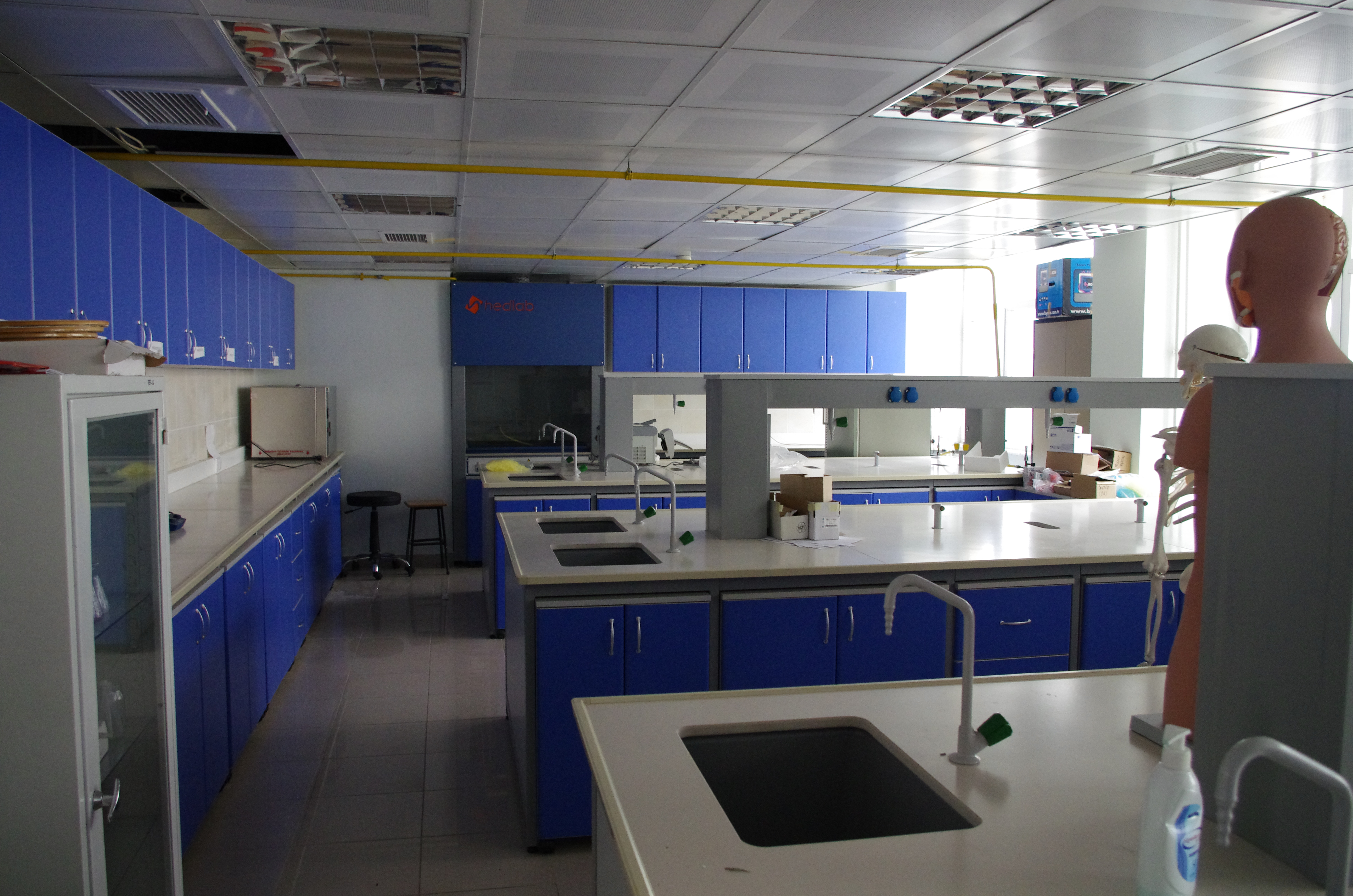 IMGP2131.jpg