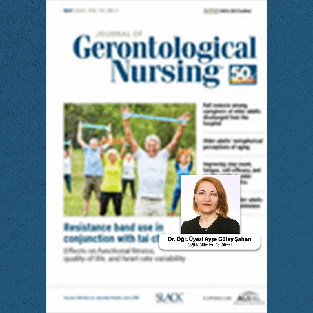 Older Adults' Metaphorical Perceptions of Aging in Turkey