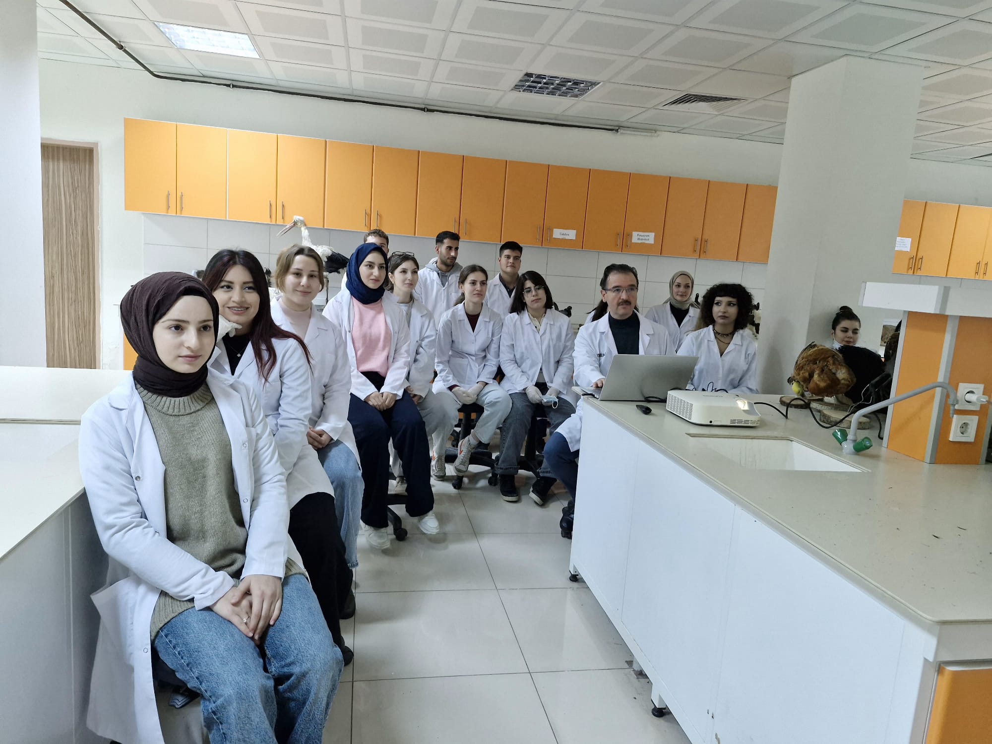 Veteriner Fakültesi Anatomi Laboratuvarında Uygulamalı Eğitim Etkinliği 3