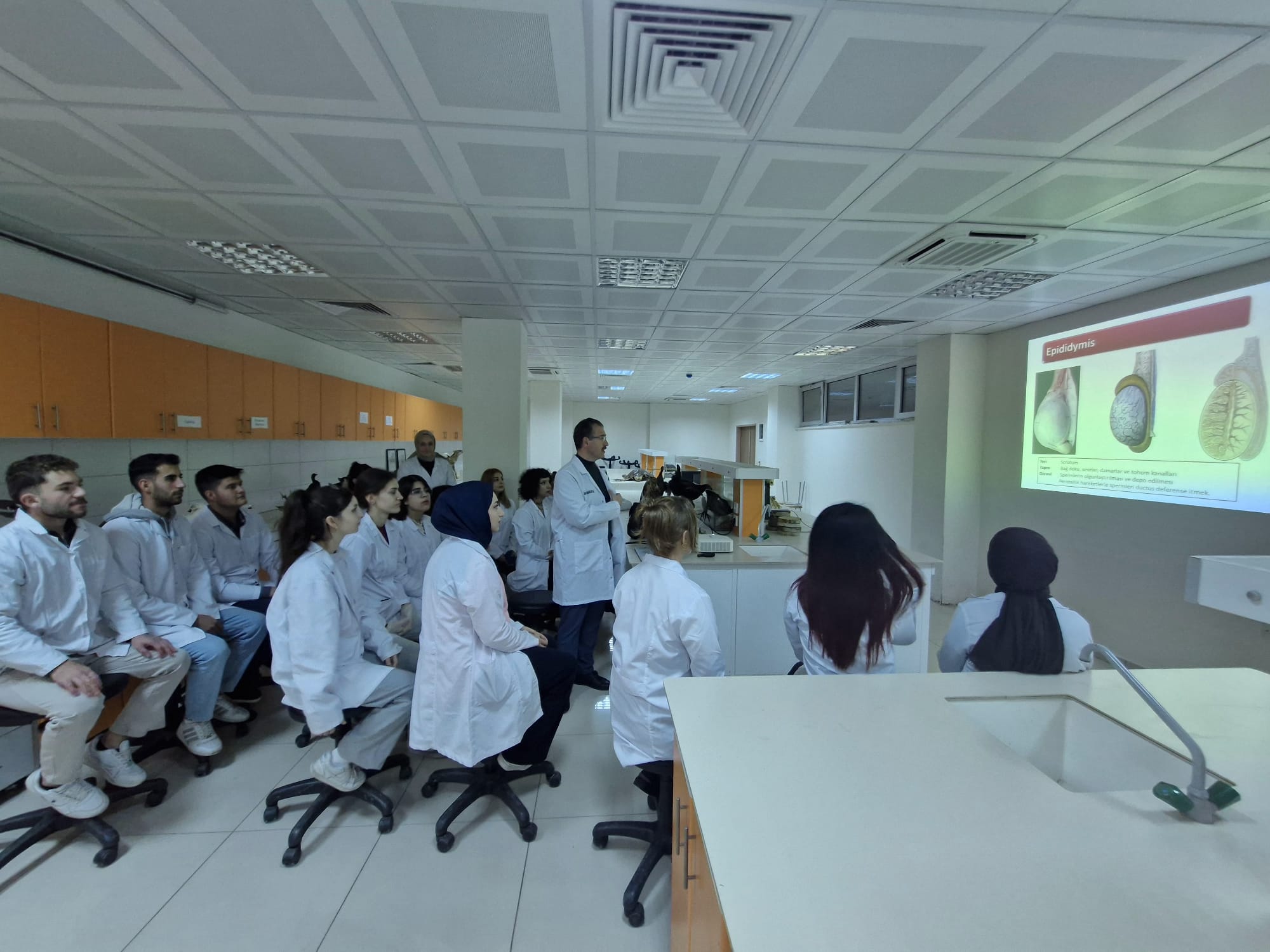 Veteriner Fakültesi Anatomi Laboratuvarında Uygulamalı Eğitim Etkinliği 1