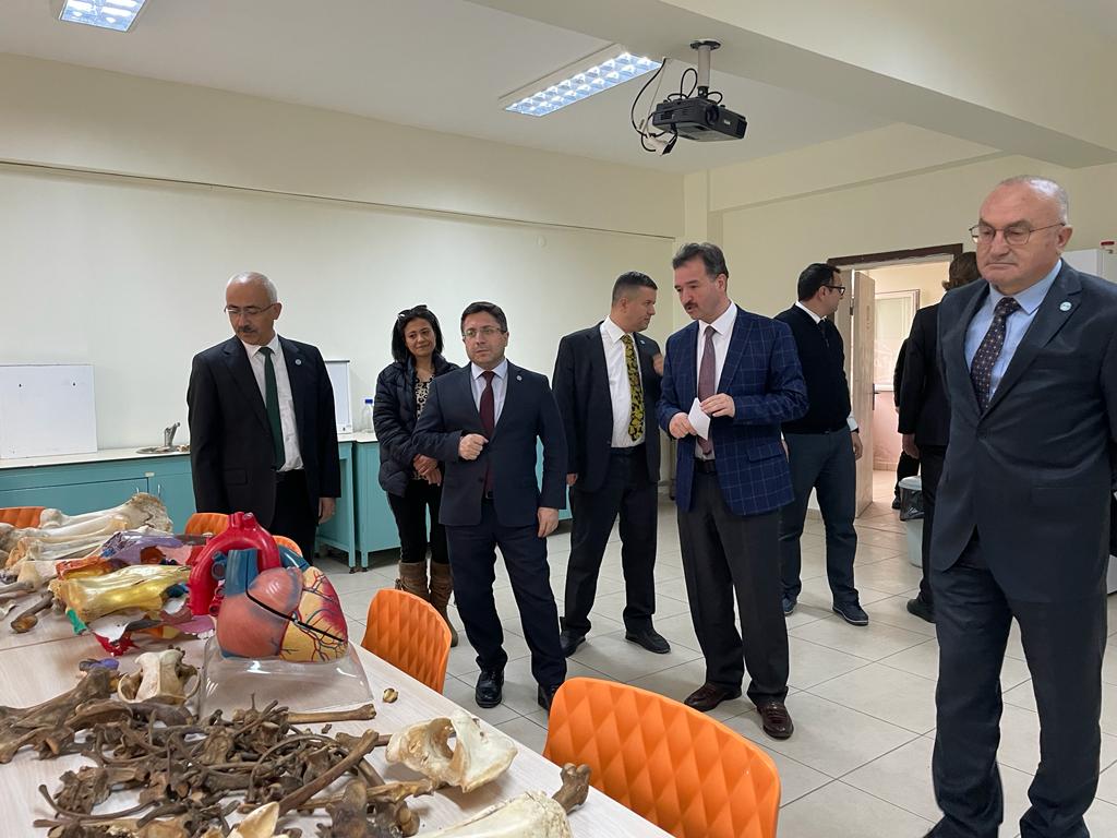 kepsut labmyo3.jpg