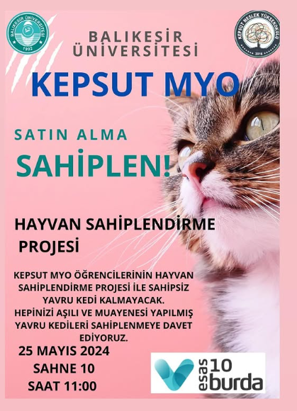 Hayvan Sahiplendirme Projesi