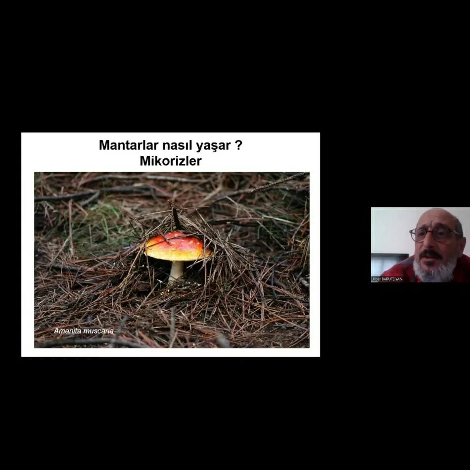 "Amatör Mantarcılığa Giriş" Çevrimiçi Semineri Düzenlendi