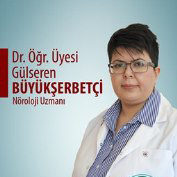 Dr. Öğr. Üyesi Gülseren BÜYÜKŞERBETÇİ