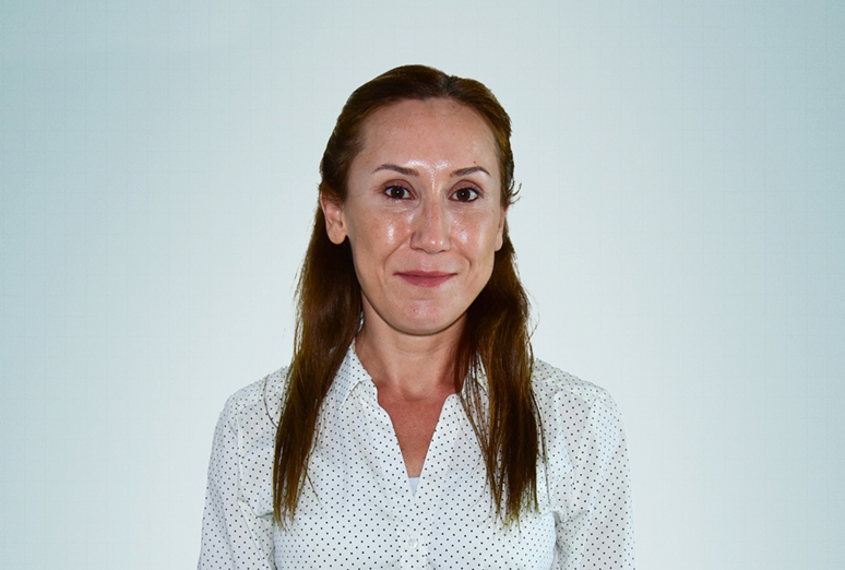 Dr. Öğr. Üyesi AYŞEGÜL DALMIZRAK