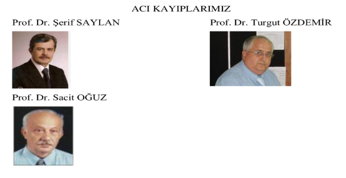 Ekran Alıntısı 4.PNG