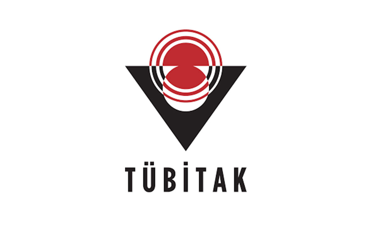 TÜBİTAK 2209-A Lisans Projesi