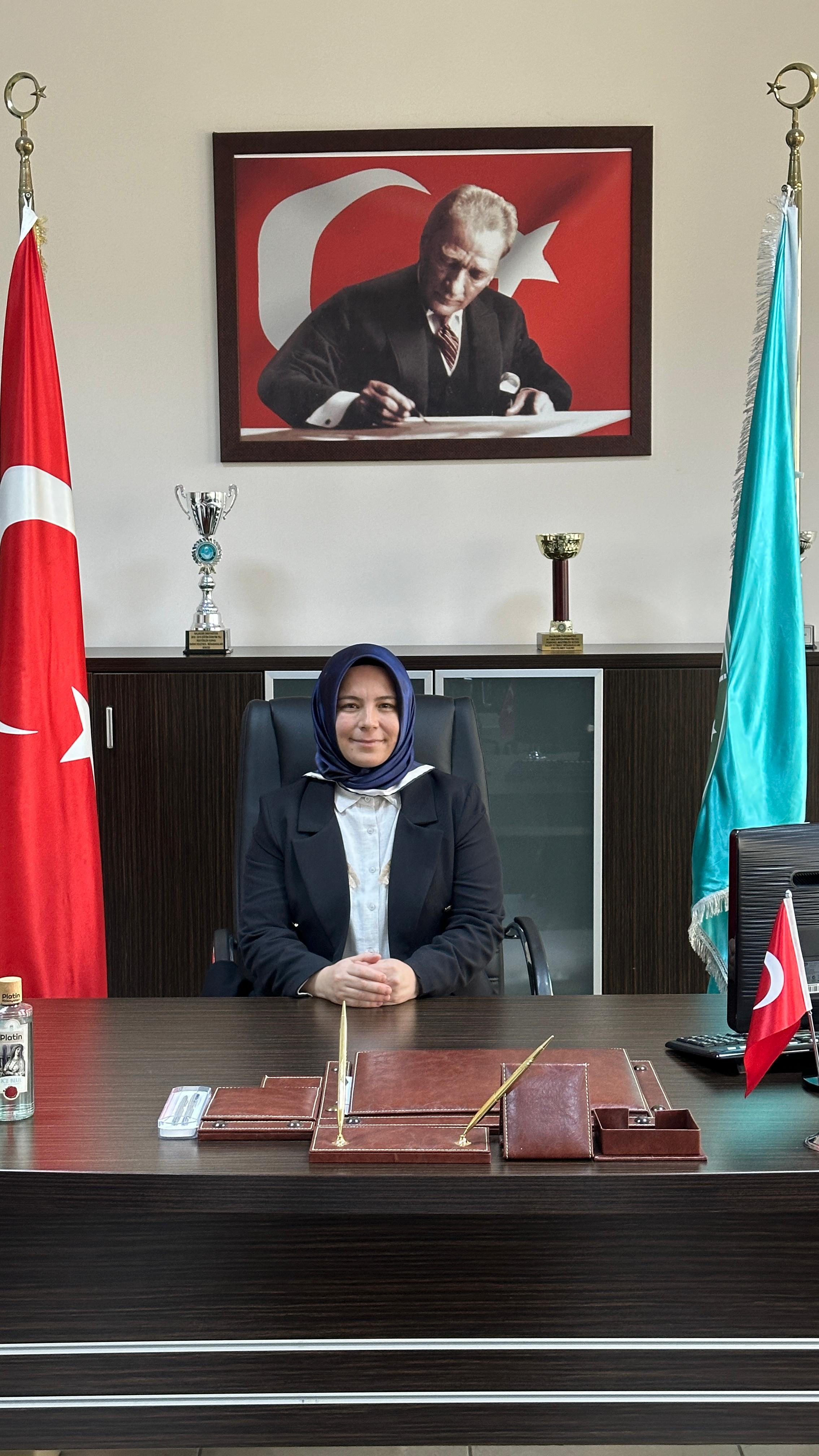 Program Öğretim Elemanı