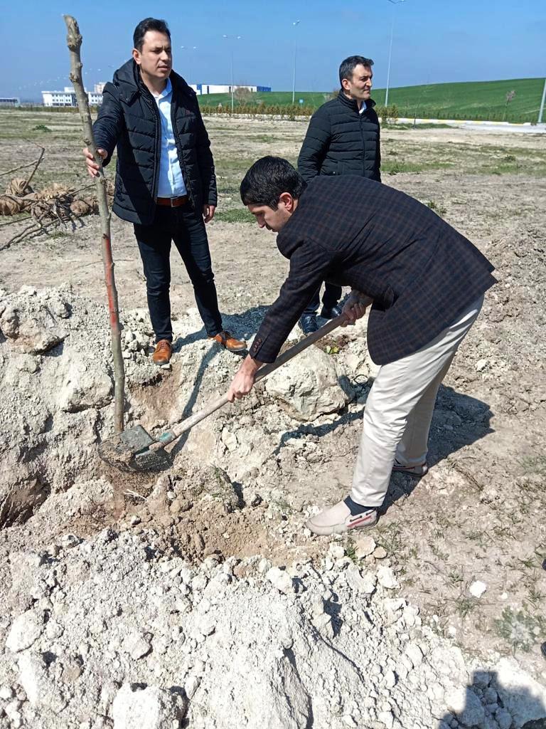 Şehitler Hatıra Ormanı 3