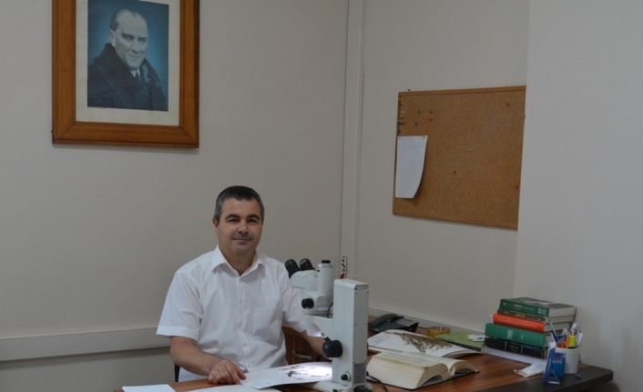 Prof.Dr. Tuncay DİRMENCİ