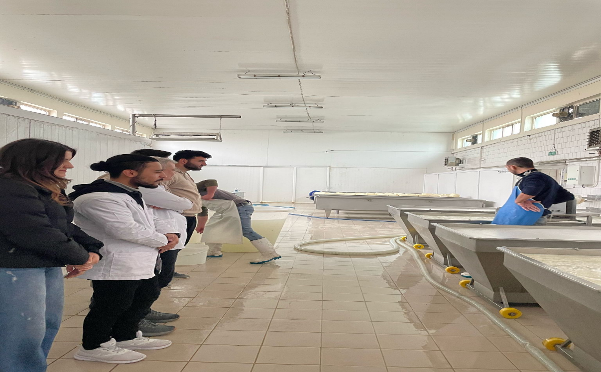 Uygulamalı Eğitim Gezileri 8