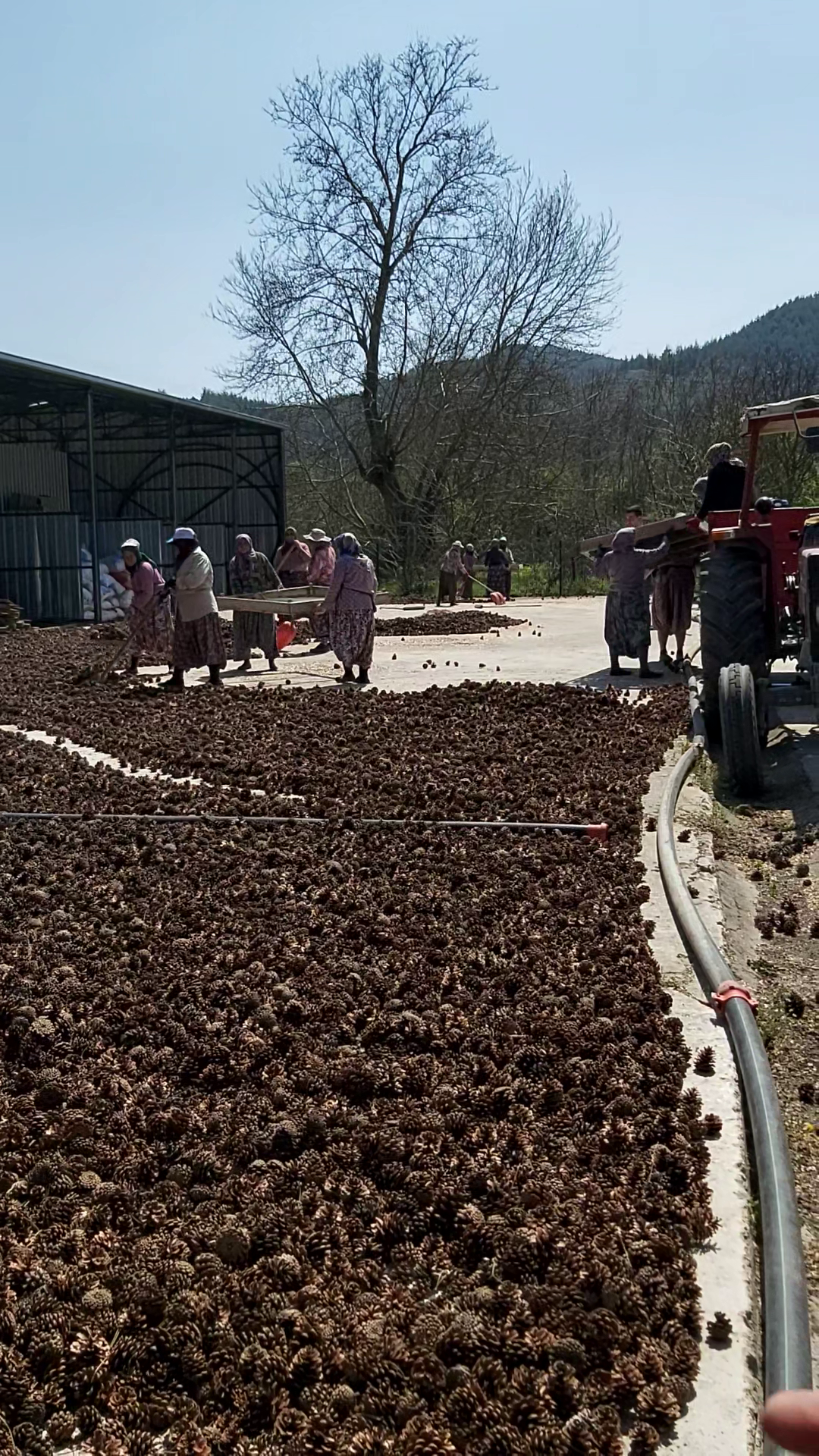 Orman Fidanlığı Teknik Gezisi 7
