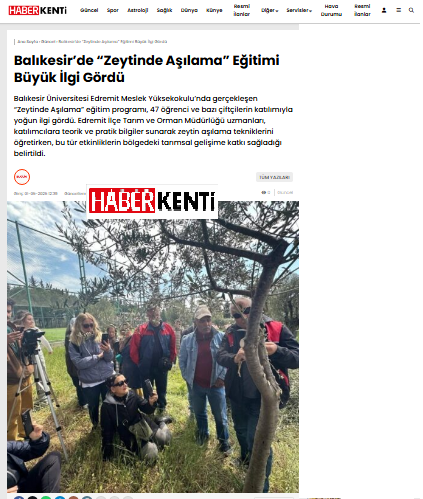 Balıkesir’de “Zeytinde Aşılama” Eğitimi Büyük İlgi Gördü