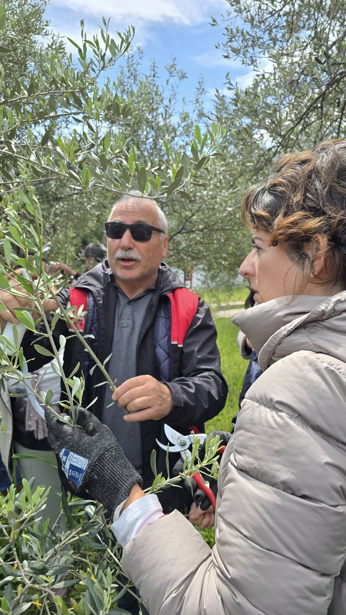 Edremit Meslek Yüksekokulunda düzenlenen "Zeytinde Aşılama" konulu eğitim programı, öğrenci ve çiftçilerin yoğun ilgisiyle gerçekleşti 10