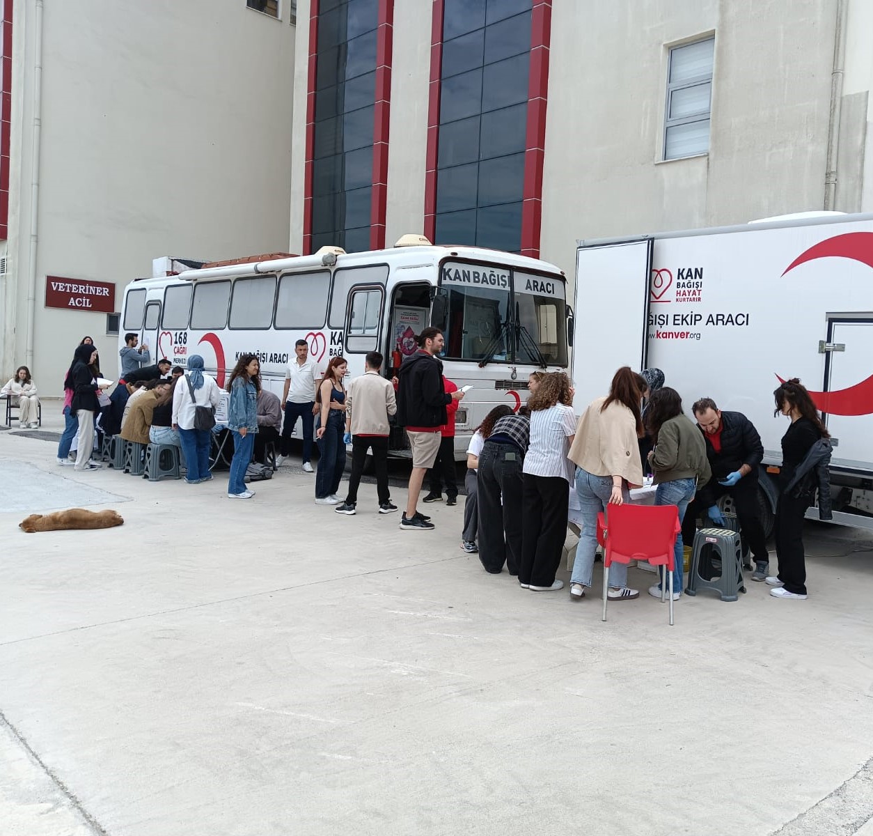 Veteriner Fakültesi Öğrencilerinden Kan Bağışı Kampanyasına Anlamlı Katkı 2