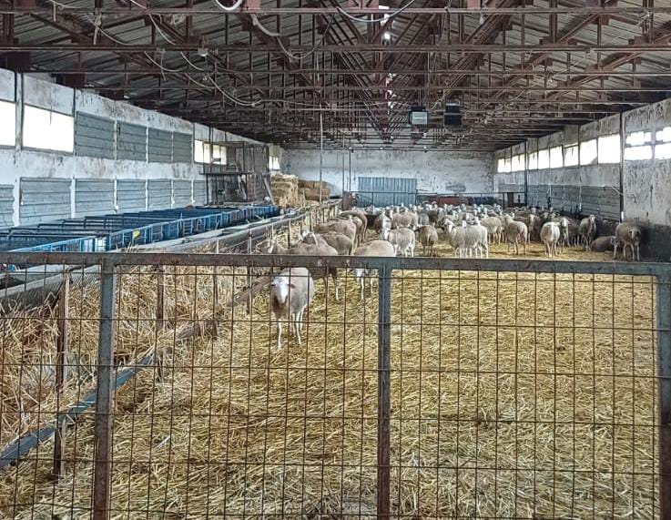 BAÜN Tarım ve Hayvancılık Alanındaki Çalışmalarına Hız Kesmeden Devam Ediyor 4