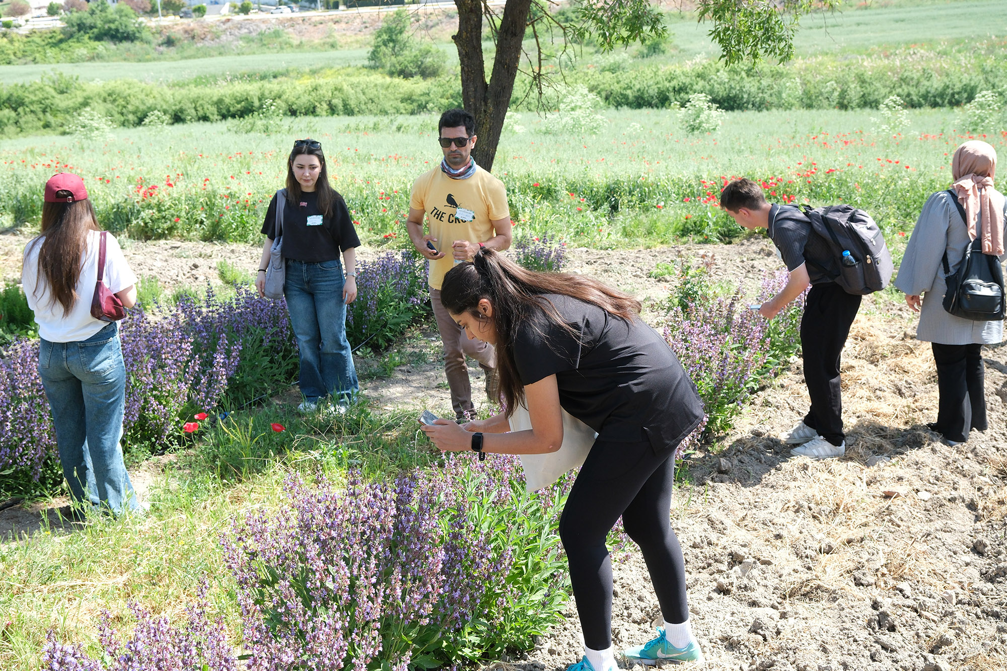 BAÜN, “Tür Say 2025” Etkinliğiyle Biyolojik Çeşitliliğe Dikkat Çekti 7