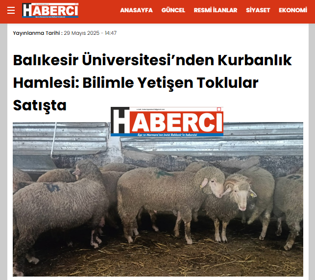 Balıkesir Üniversitesi’nden Kurbanlık Hamlesi: Bilimle Yetişen Toklular Satışta