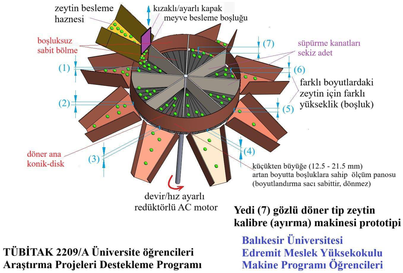 Yüksekokulumuzda TÜBİTAK 2209 Desteğiyle Zeytin Kalibre Makinesi Geliştiriliyor 7