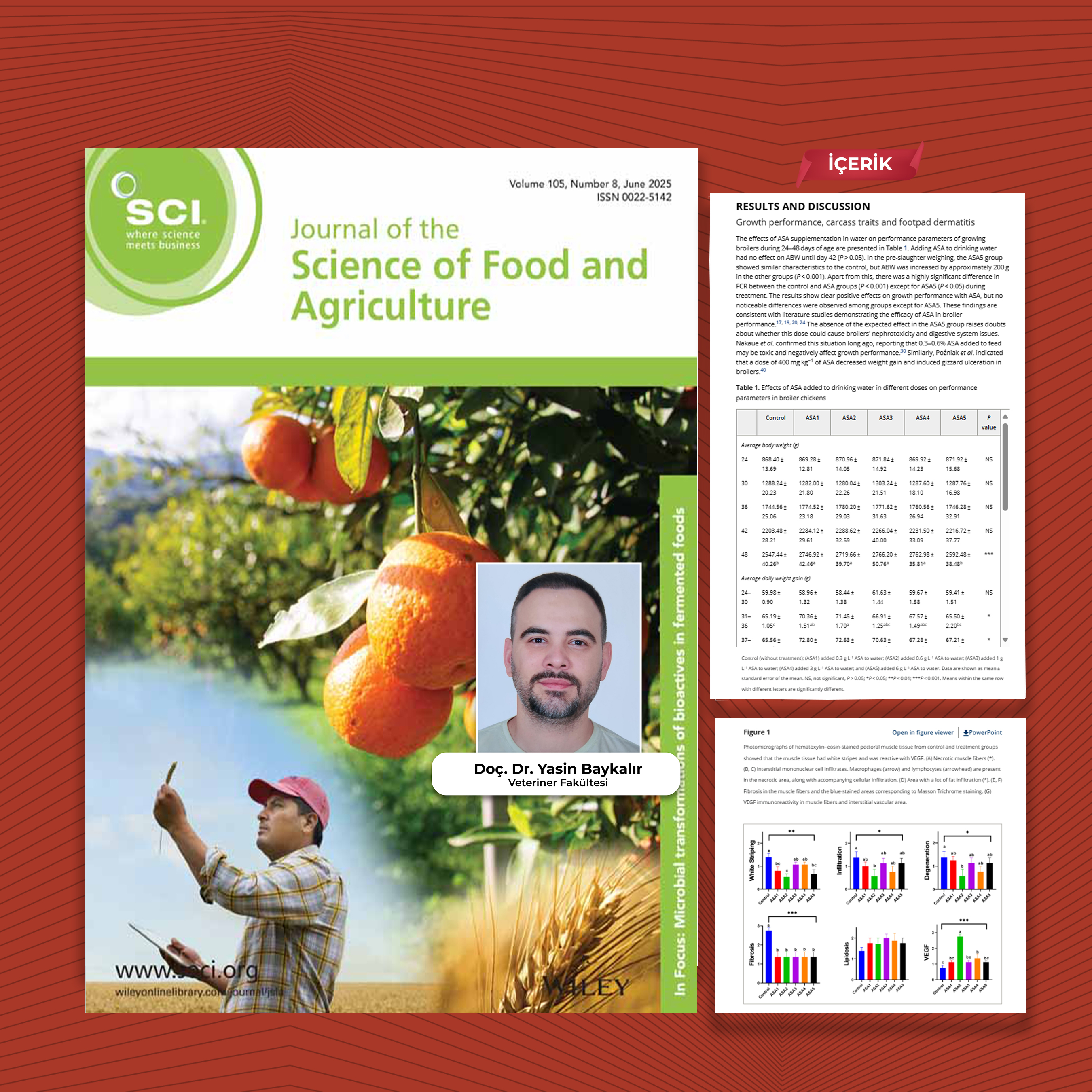 Important Study from Balikesir University Academicians: Effects of Aspirin Supplementation on White Striping and Performance in Broiler Chickens 1