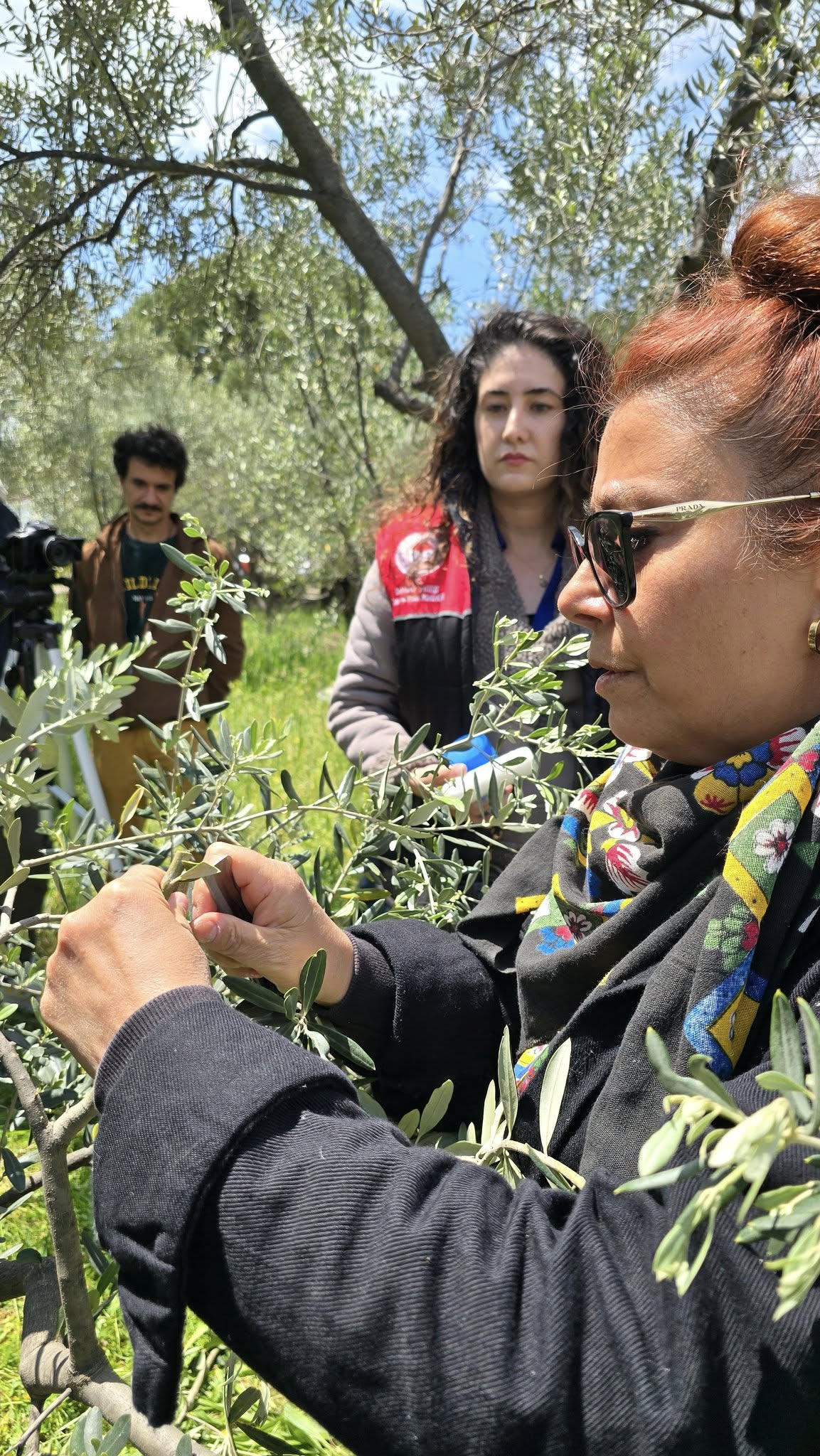 Edremit Meslek Yüksekokulunda düzenlenen "Zeytinde Aşılama" konulu eğitim programı, öğrenci ve çiftçilerin yoğun ilgisiyle gerçekleşti 9