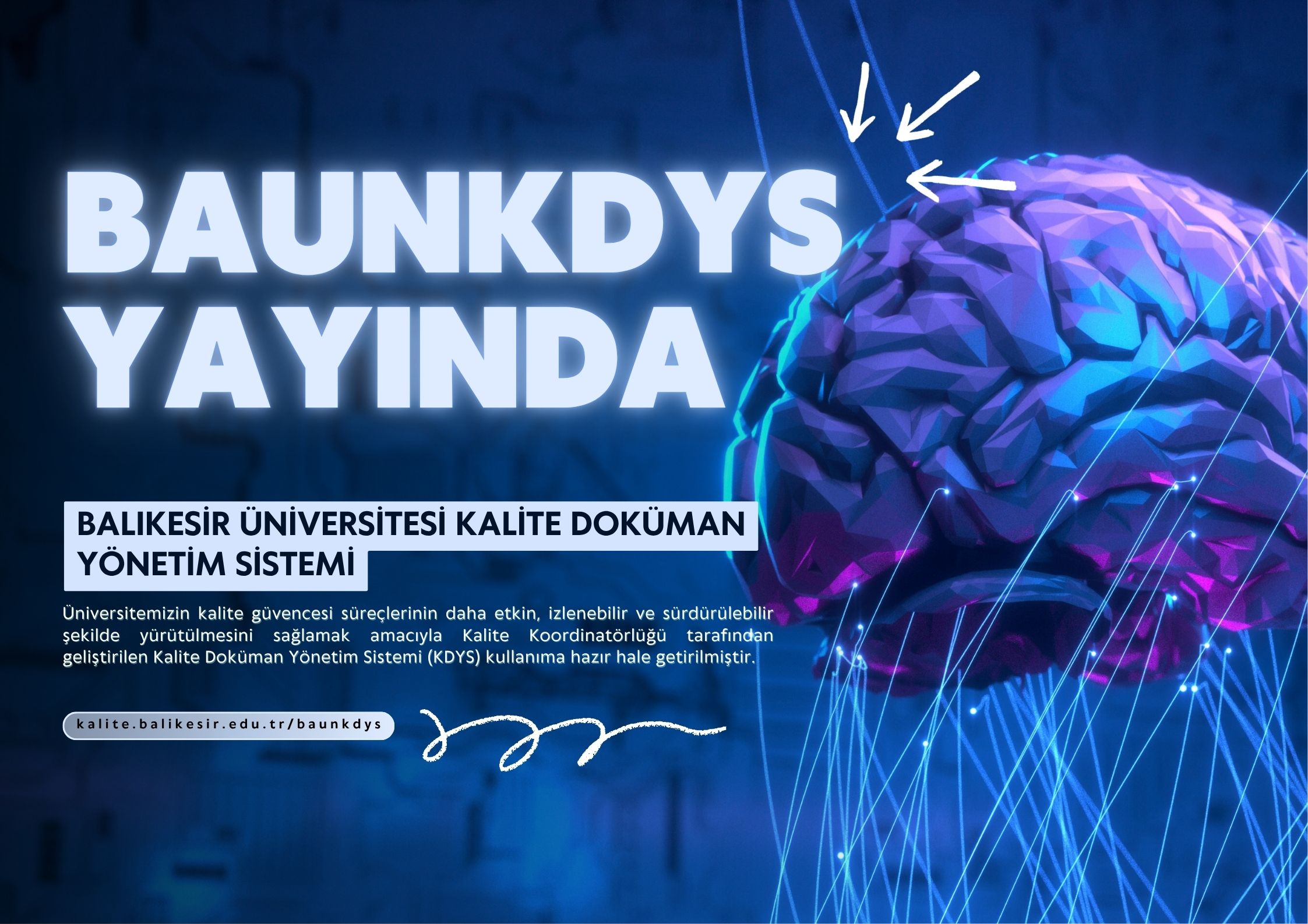 baunkdys yayında.jpg