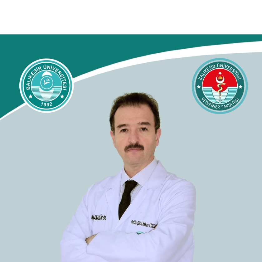 Sukru Hakan ATALGIN