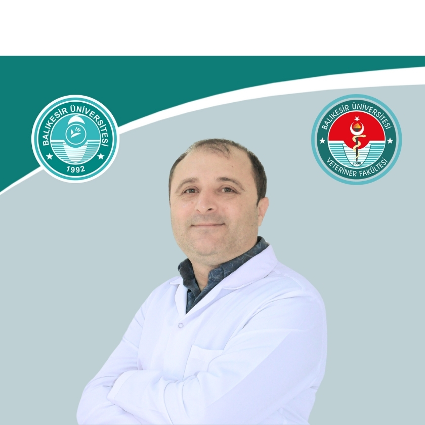 Mehmet CAN