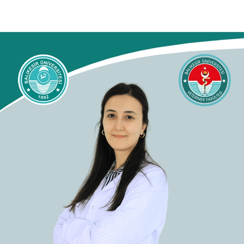 Nisanur EKTIK SEZEN