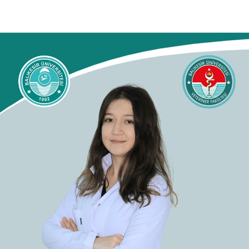 Buse OZTURK