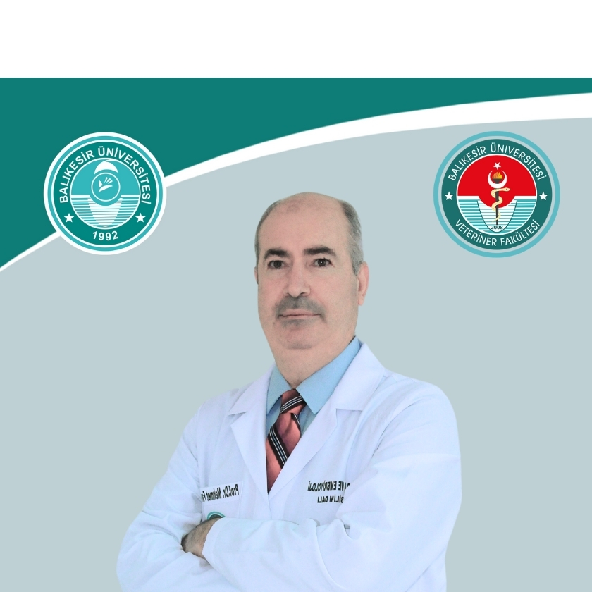 Mehmet Faruk AYDIN