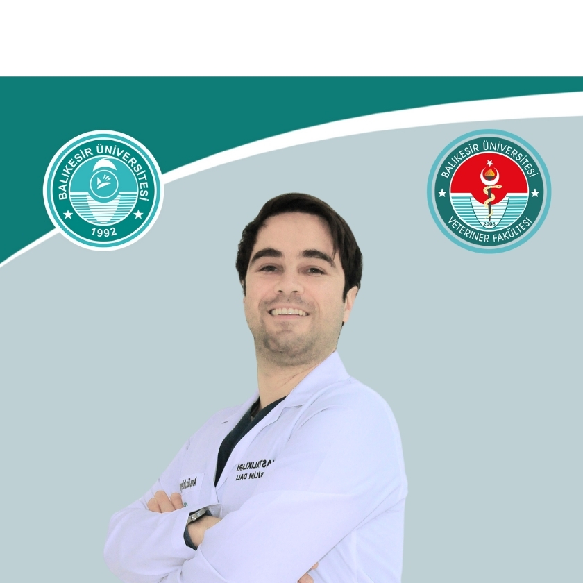 Feyyaz KAYA