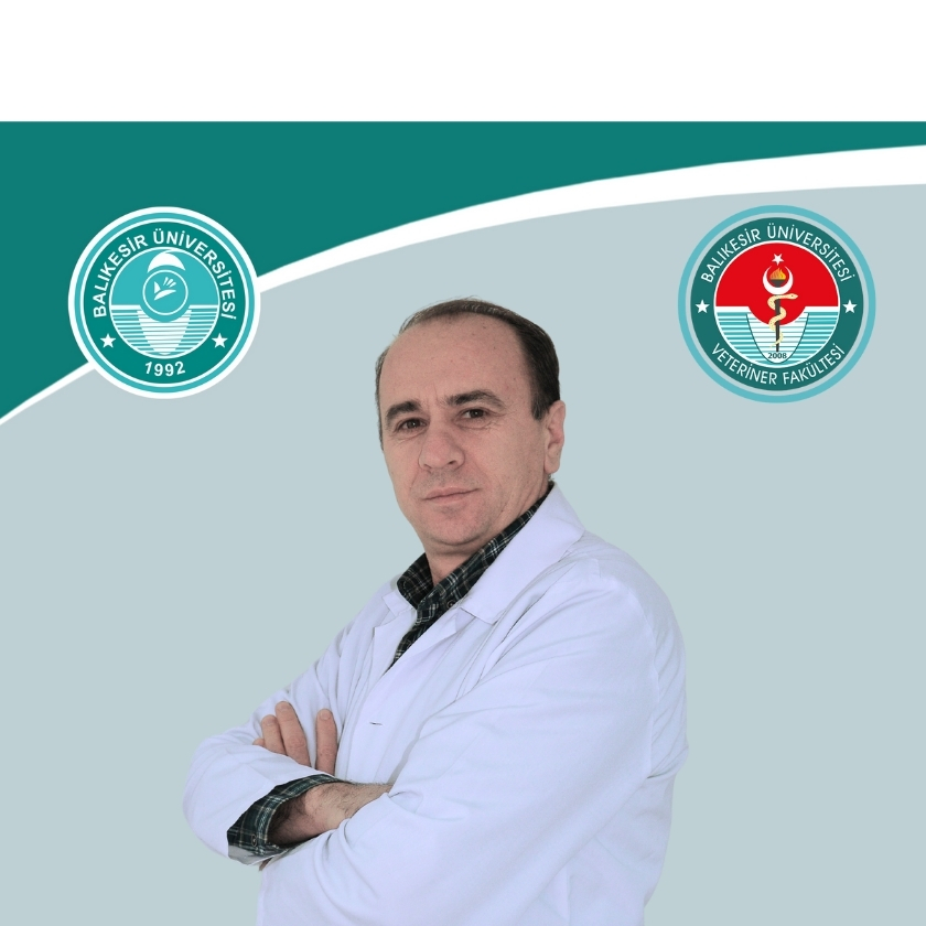 Mehmet OK