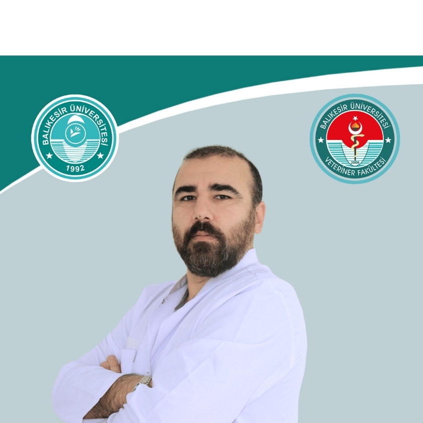 Fatih SAKRAK