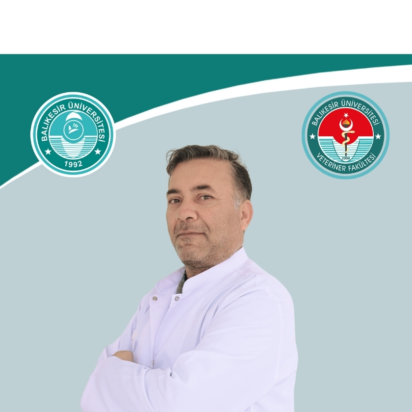 Yahya AKGUN