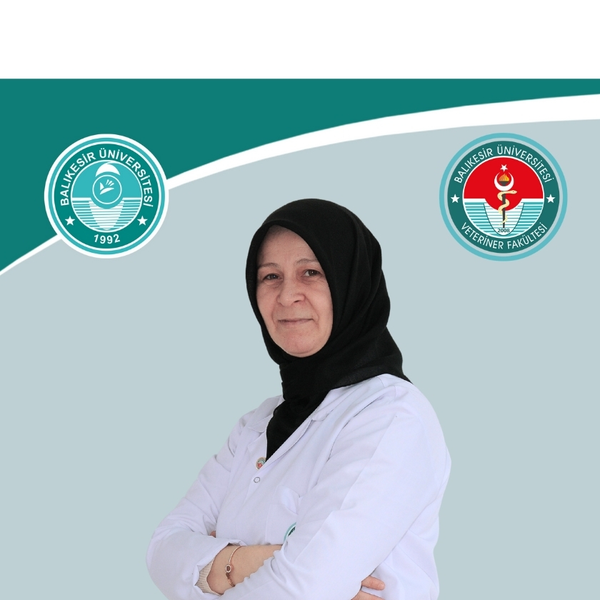 Sennur CIMEN