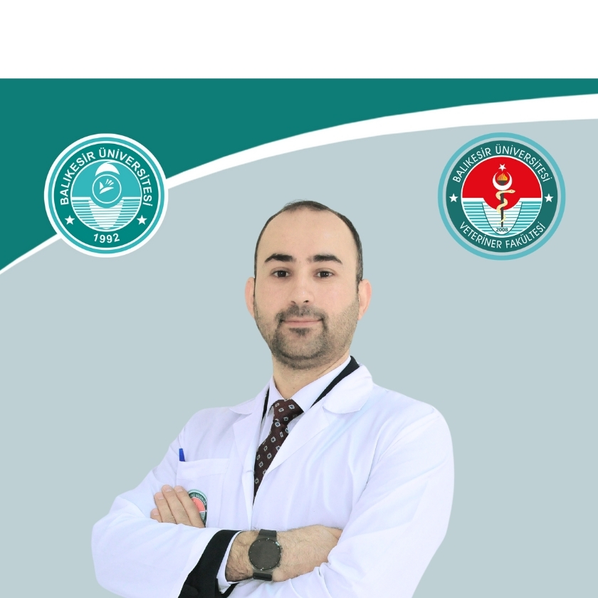 Muhittin ZENGİN