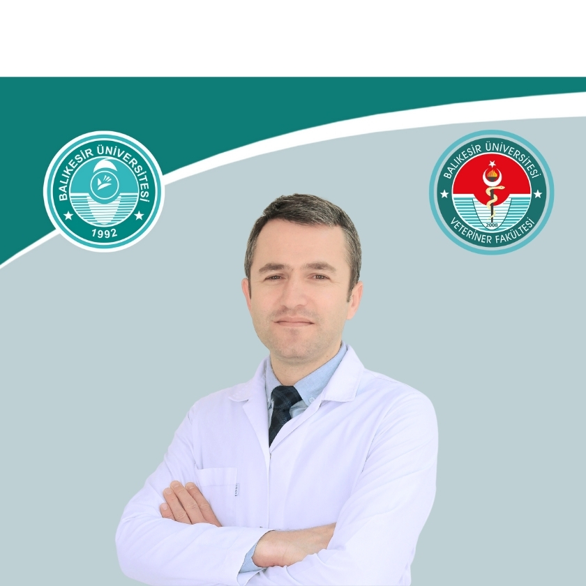 Uğur AYDOĞDU