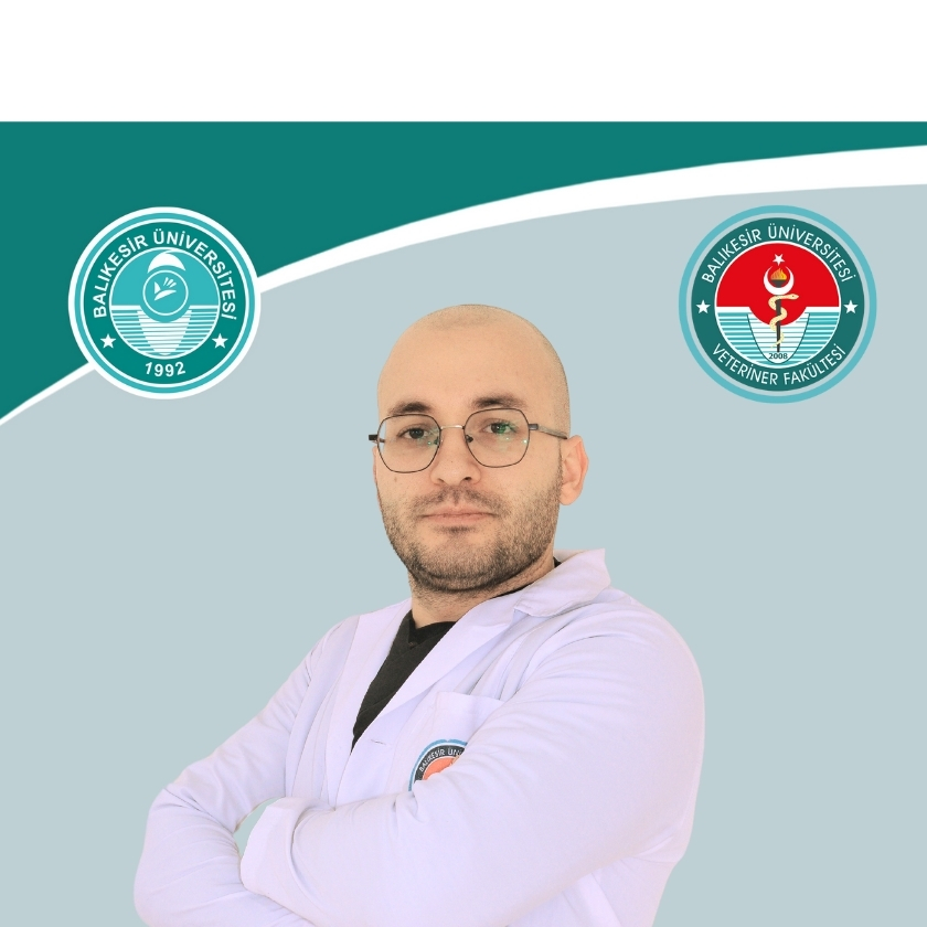 Bilge Kaan ÜNAL