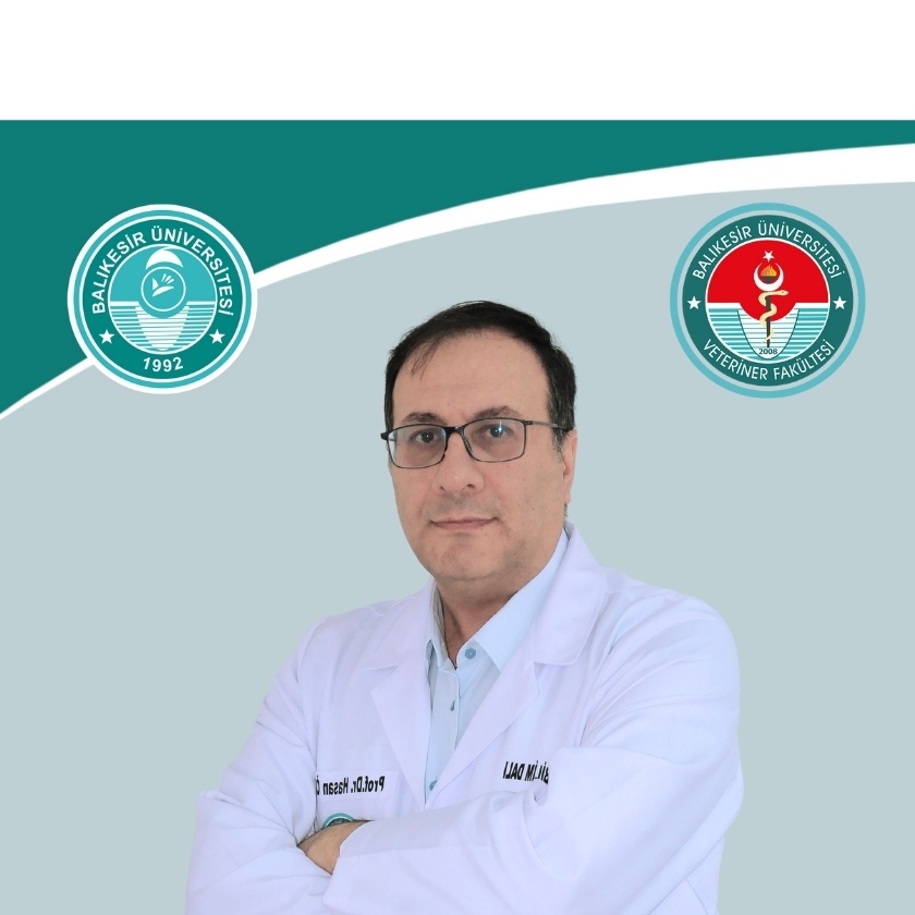 Hasan ÖZEN