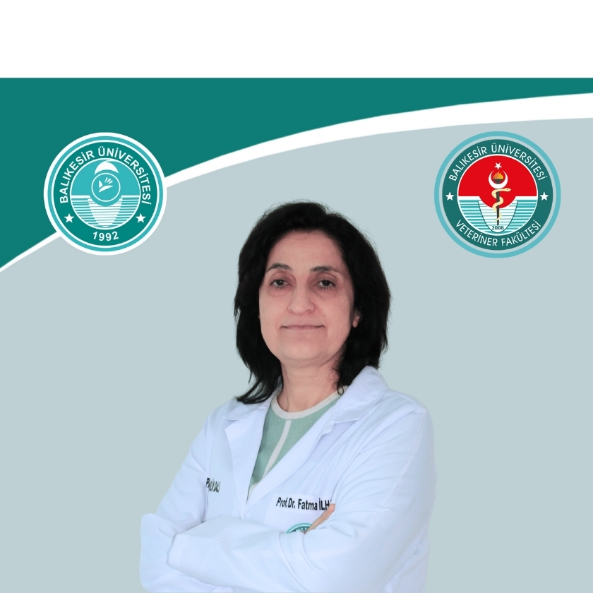 Fatma İLHAN
