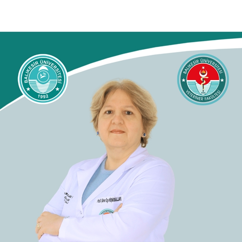 Şahver Ege HİŞMİOĞULLARI