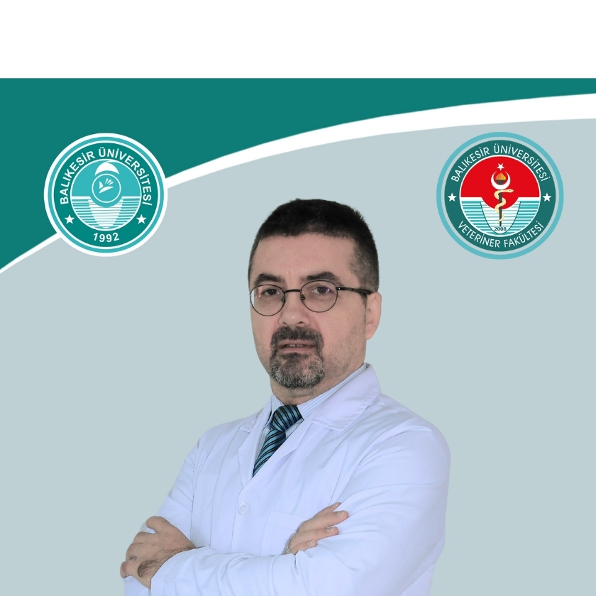 Ali BAYRAKDAR