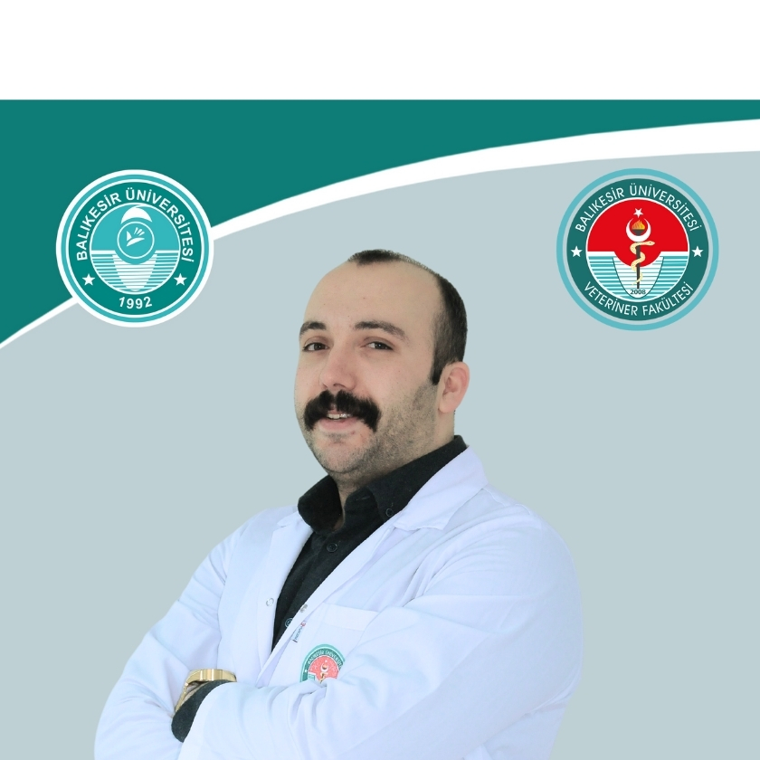 Mustafa KORKMAZ