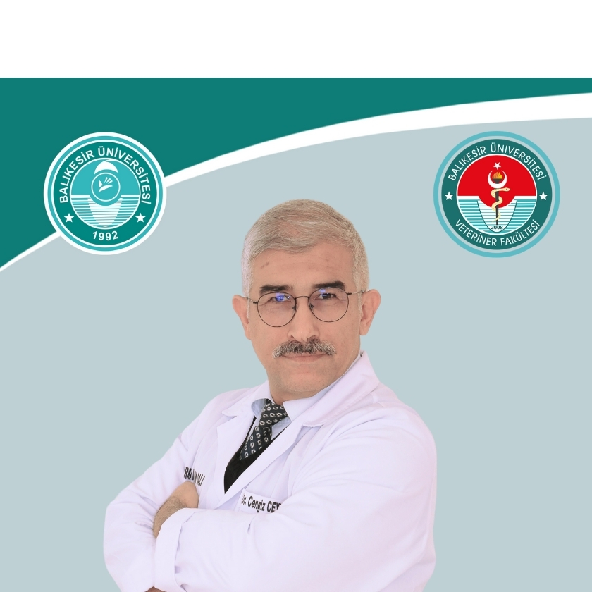 Cengiz CEYLAN