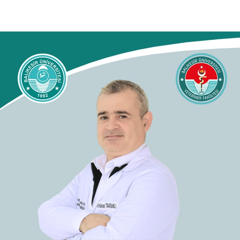 Hakan TAVŞANLI