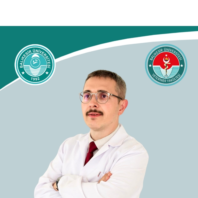 Hüseyin Serkan EROL