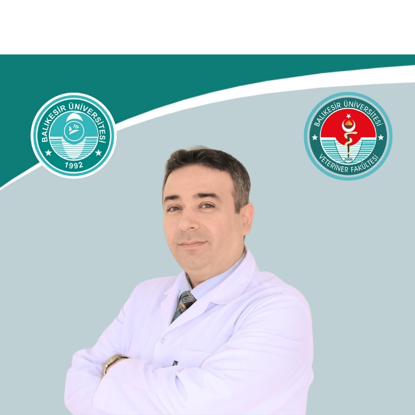 Murad GÜRSES