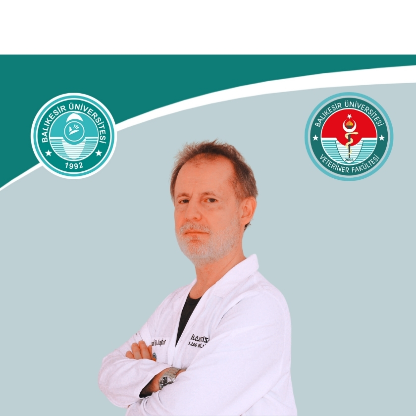 Ali İhsan DİKER
