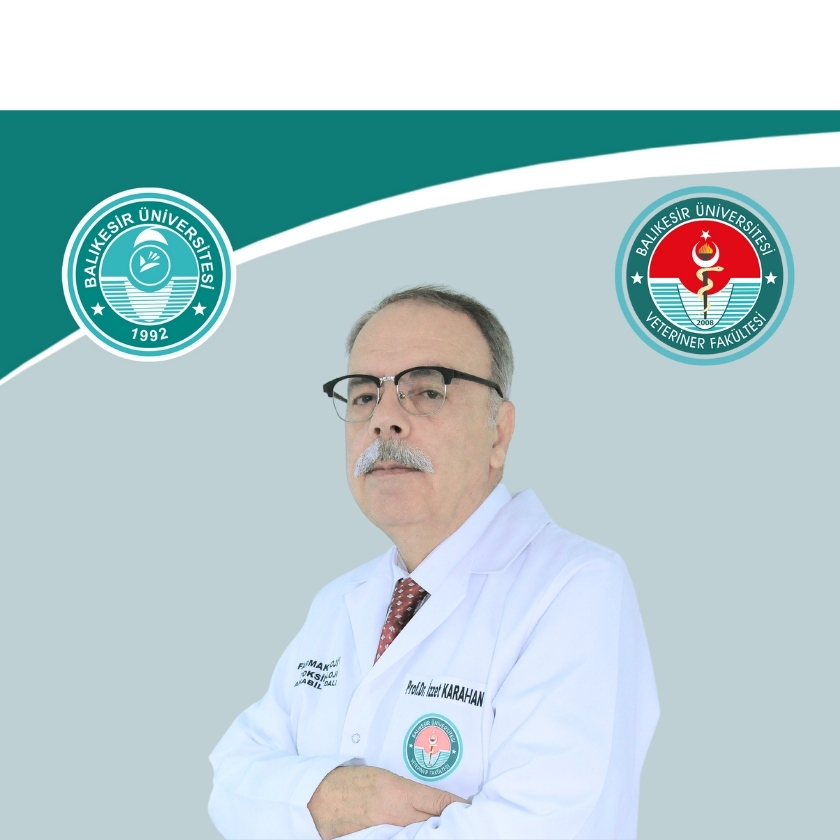 İzzet KARAHAN